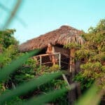 Treehouse at Boa Vida Rote